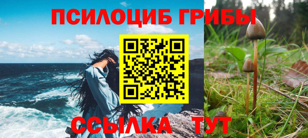 Новоалександровск  купить закладку  Вход с VPN  Галлюциногенные грибы GOLDEN TEACHER 